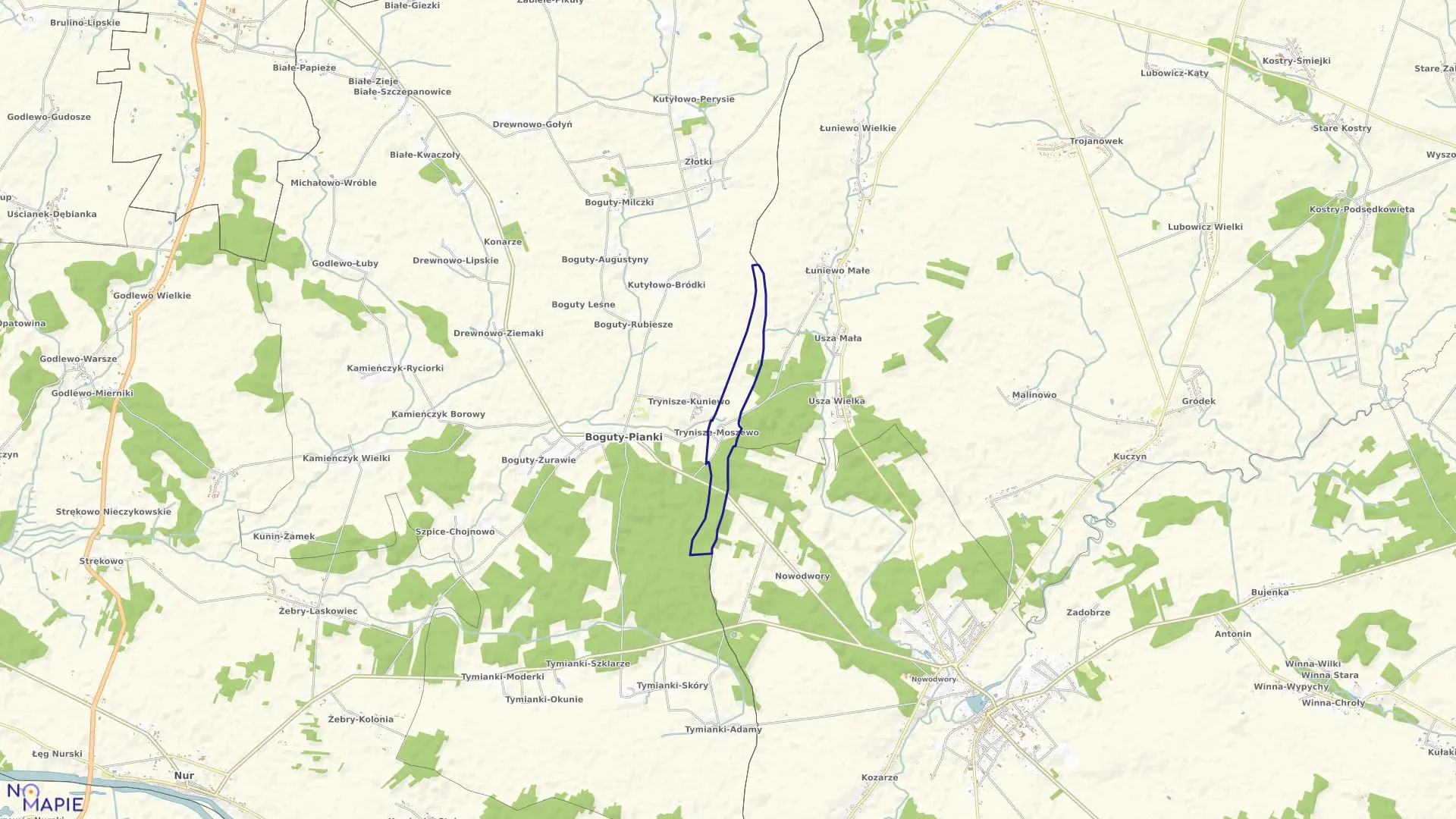 Mapa obrębu Trynisze-Moszewo w gminie Boguty-Pianki